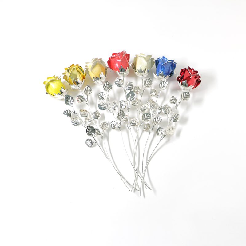 Rosa bilaminada média cores sortidas