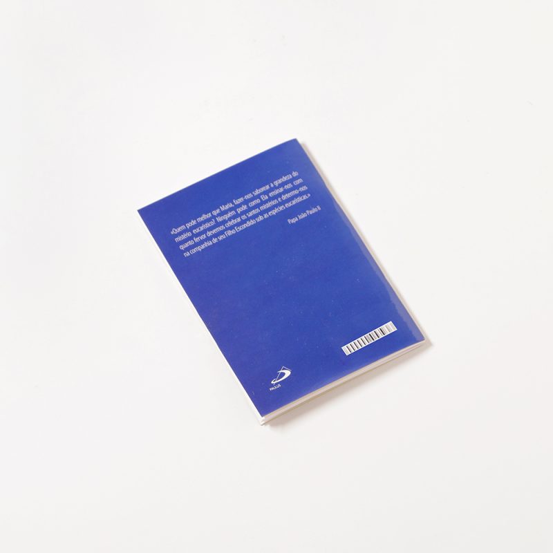 005-002-502-4860-novena-pelos-sacerdotes_Santuario-do-Sameiro-Braga-Portugal-cc