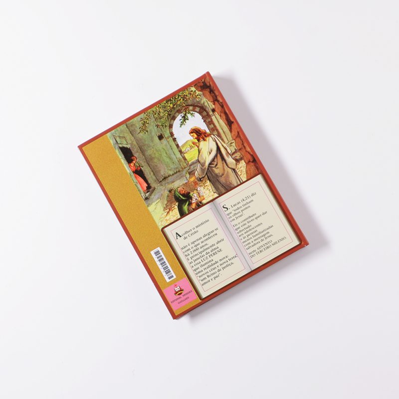 005-004-513-LF021-vida-ilustrada-de-jesus-cristo_Santuario-do-Sameiro-Braga-Portugal-cc