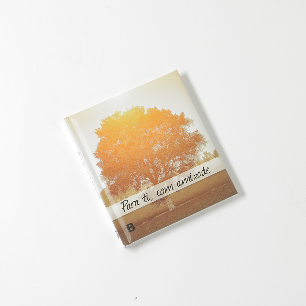 005-008-537-0303-Para ti, com amizade-Santuario-do-Sameiro-Braga-Portugal